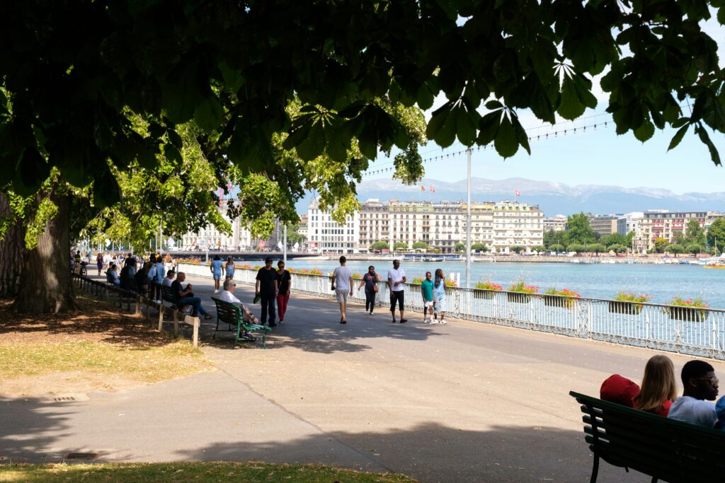 stefan-scheepmaker-Pdz0t6IS-9I-unsplash